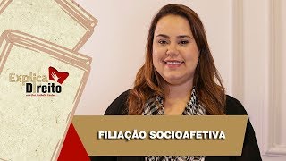 Explica Direito Filiação Socioafetiva  2019 [upl. by Fulcher412]